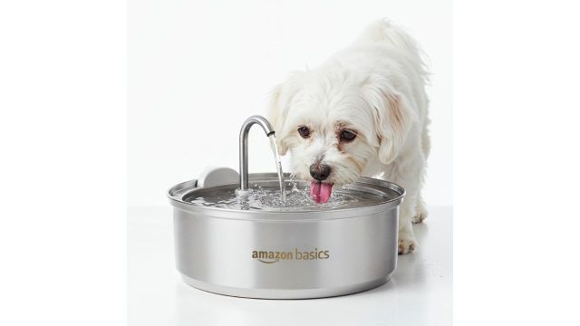 Amazon Basics Automatic Pet Water Fountain