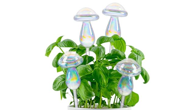 Jiuhexuj Plant Watering Globes 4 Pack