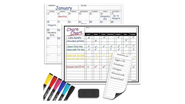 Magnetic Charts For Kids And Adults