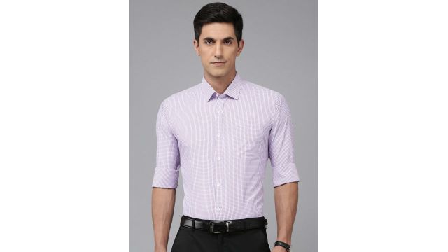 Park Avenue Slim Fit Micro Checks Formal Shirts