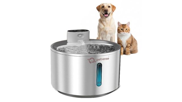 Petverse Motion Sensor Stainless Steel Pet Water Fountain