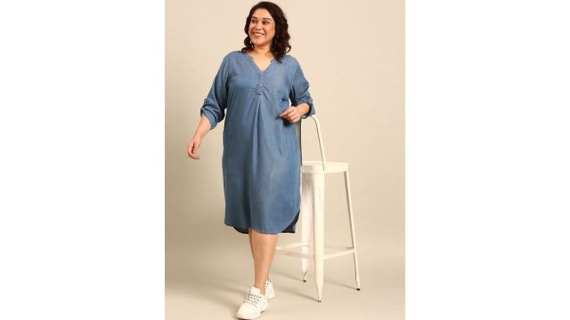 The Pink Moon Plus Size Denim A-Line Dress