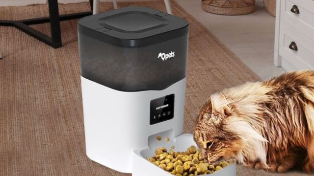 Top Automatic Pet Feeders to explore