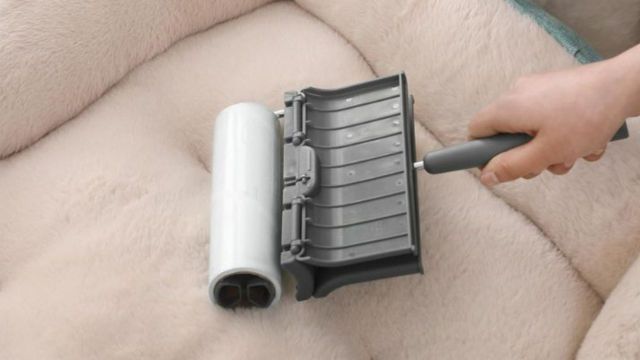 Top Pet Hair Remover Rollers to explore
