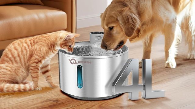 Top Pet Water Fountains to explore