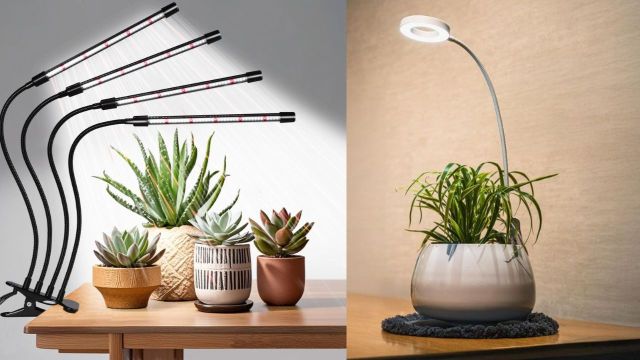 Best Plant Grow Lights to consider