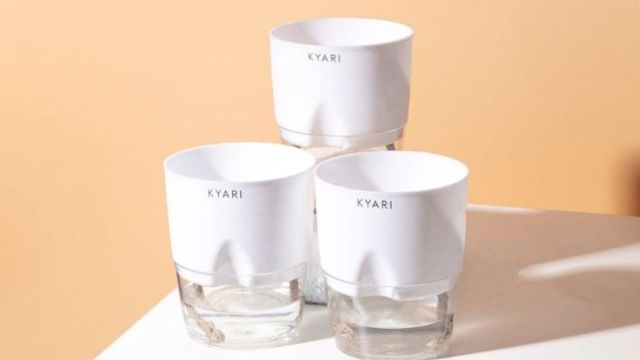 Best Self Watering Pots to consider