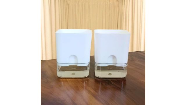 Casa De Amor Self Watering Pots Pack of 2