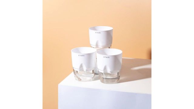 KYARI Combo of 3 White Cylindrical Pots