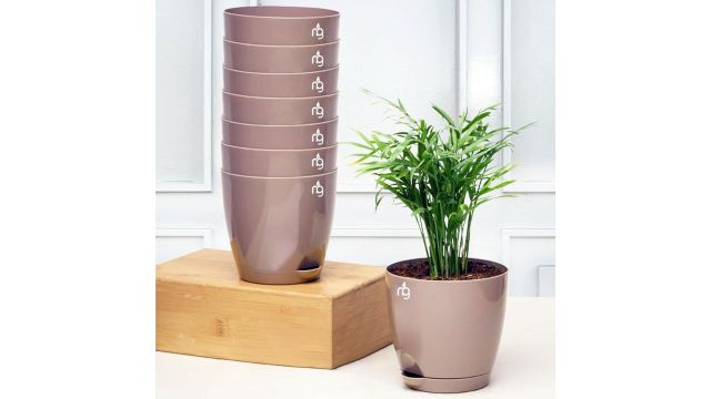 Nurturing Green Combo of 8 Mocha Pots