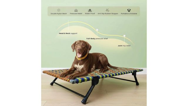 PETSAPIENS Folding Elevated Cooling Summer Bed