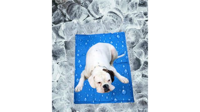 PetaHouse Self-Cooling Gel Technology Pad