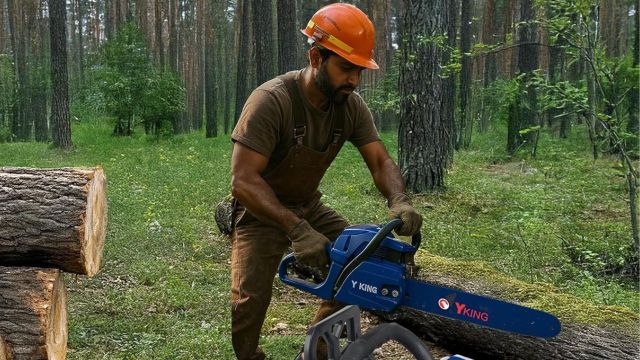 Top Chainsaws to explore