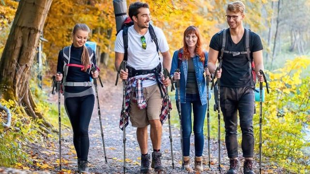 Top Trekking Poles to explore