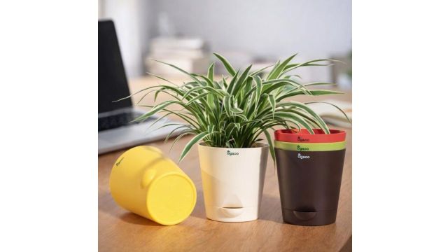 UGAOO Round Multicolour Planter Set