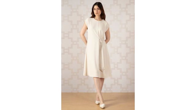 VAN HEUSEN Beige Solid Knee Length Formal Women Regular Fit Dress