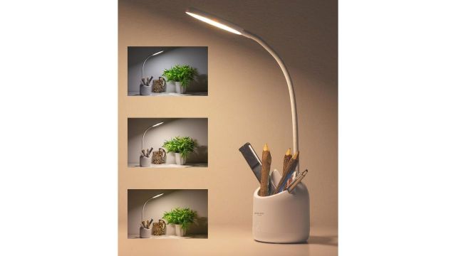 WEIRD WOLF Study Lamp With Pen Holder