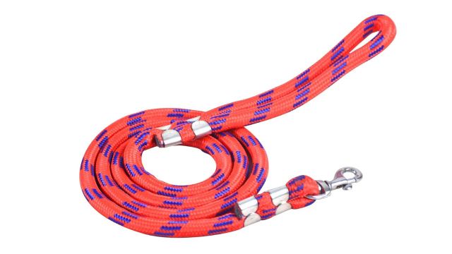 24 BH BAZAAR Red Dog Leash