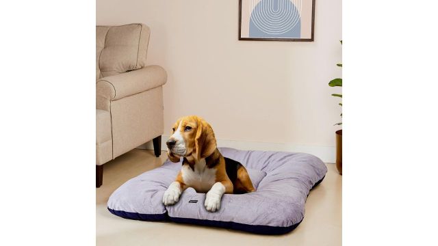 Amazon Basics Premium Rectangular Washable Velvet Pet Bed