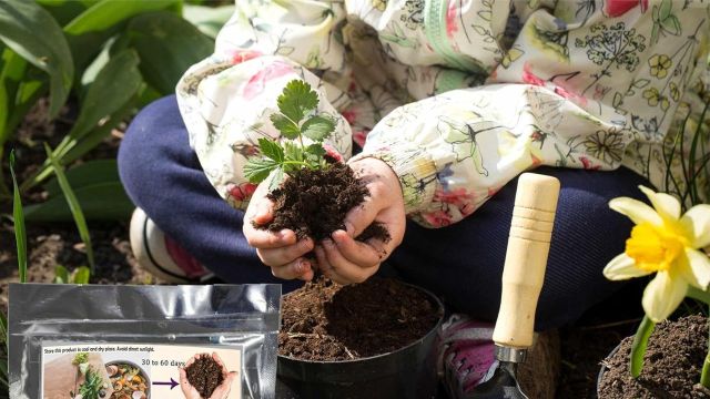 Best Composting Essentials to consider