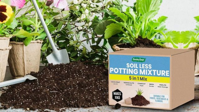 Best Soil Care Products to consider