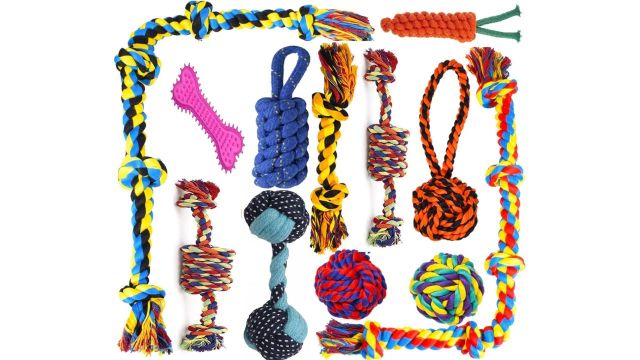 Dog And Puppy Toy Set Pack Of 12