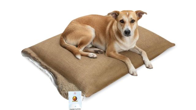 Foodie Puppies Pet Bori Bed For Stray Dogs