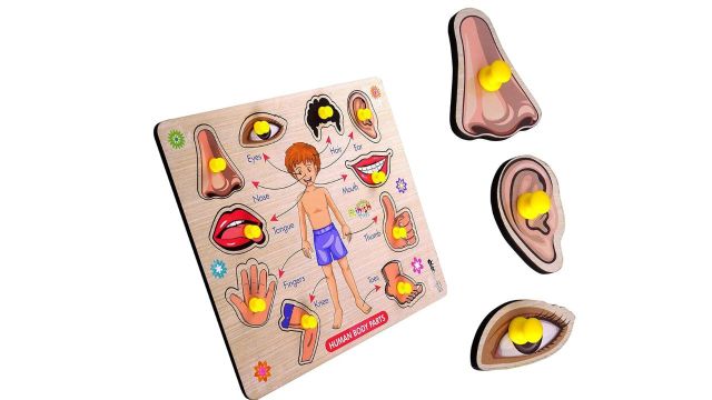 Lefan Body Part Puzzle Kids Wooden Toy