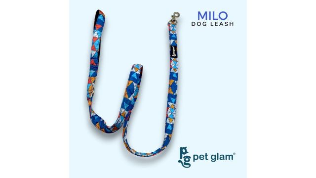 Milo Padded Training Leash