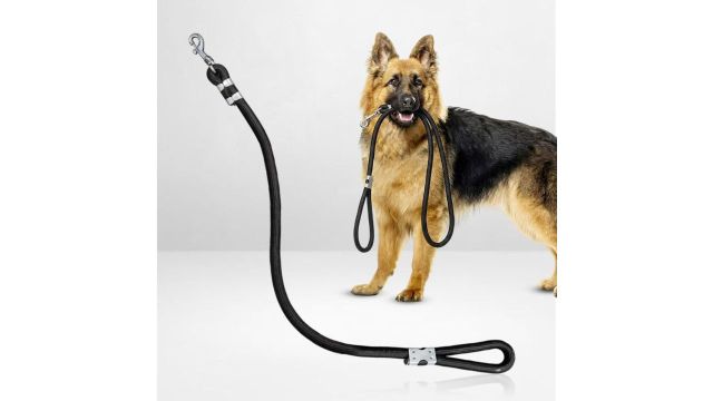 PET FUN Heavy Duty Rope Leash