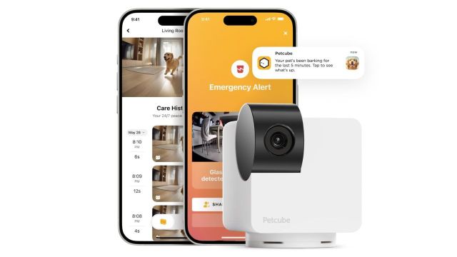Petcube Cam 360 Camera