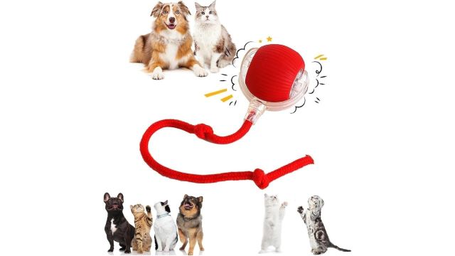 Smart Interactive Rolling Ball Dog Toy