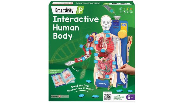 Smartivity Interactive Human Body Model