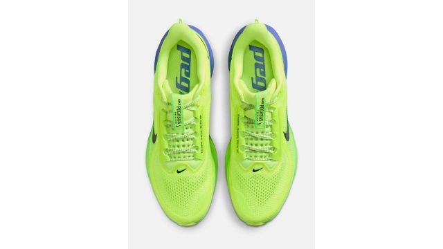 Pegasus Premium Shoe