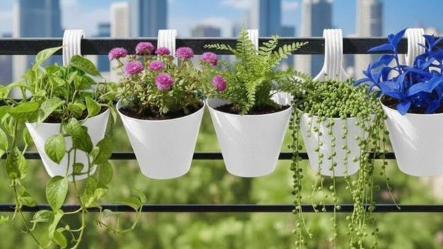 Top Hanging Planters For Compact Homes to explore