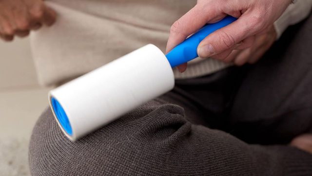 Top Lint Removers to explore