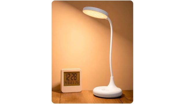WEIRD WOLF Study Lamp for Students