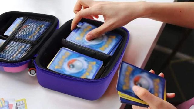 Best Collector Organisers to consider