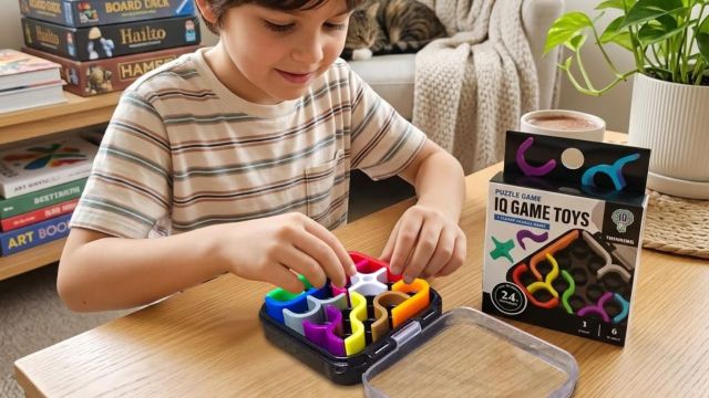 Best Logic Puzzle Collections to consider