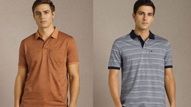 Best Louis Philippe T-shirts to check out
