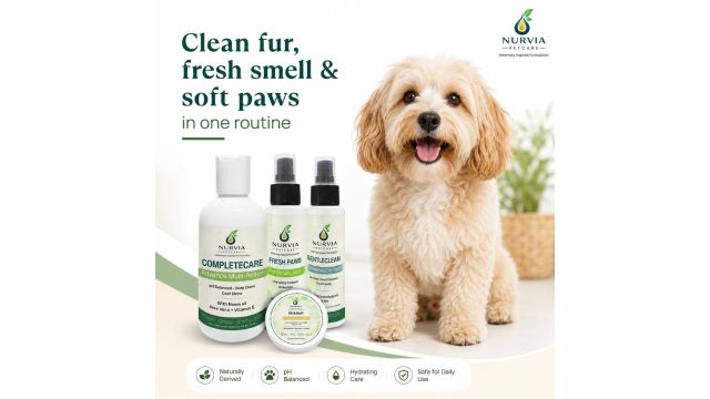 Grooming Starter Kit for Dogs