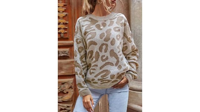 Leopard Print Pullover Classic Style Sweater