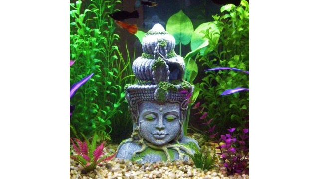 Mistletoe Natural Hiding Head Buddha Statue