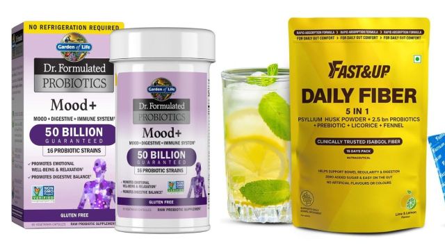 Top Gut Health Supplements to explore