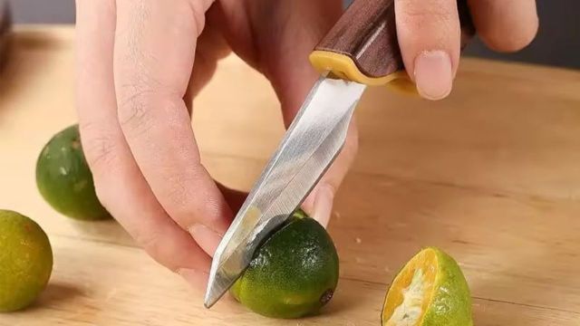Best Pocket Knives to consider