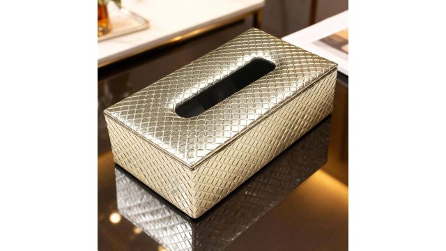 Encasa XO Light Gold Tissue Paper Holder