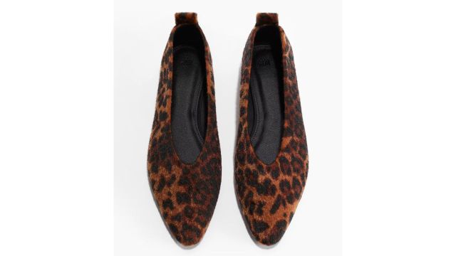 Pointed Ballet Flats