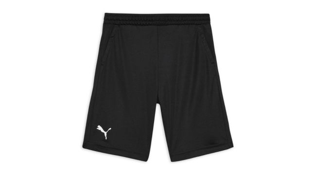 Puma Cricket Teamwear Youth Shorts