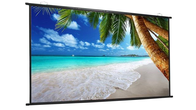 Royality Industries 84-Inch Map-Type Projector Screen