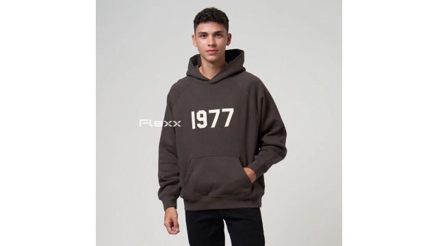 Essentials FOG 1977 Hoodie Iron